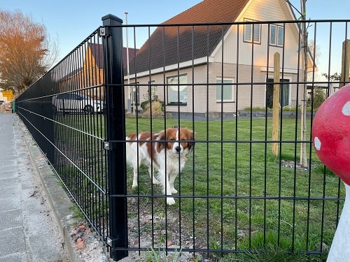 Dies darf in Ihrem Garten im Jahr 2022 nicht fehlen