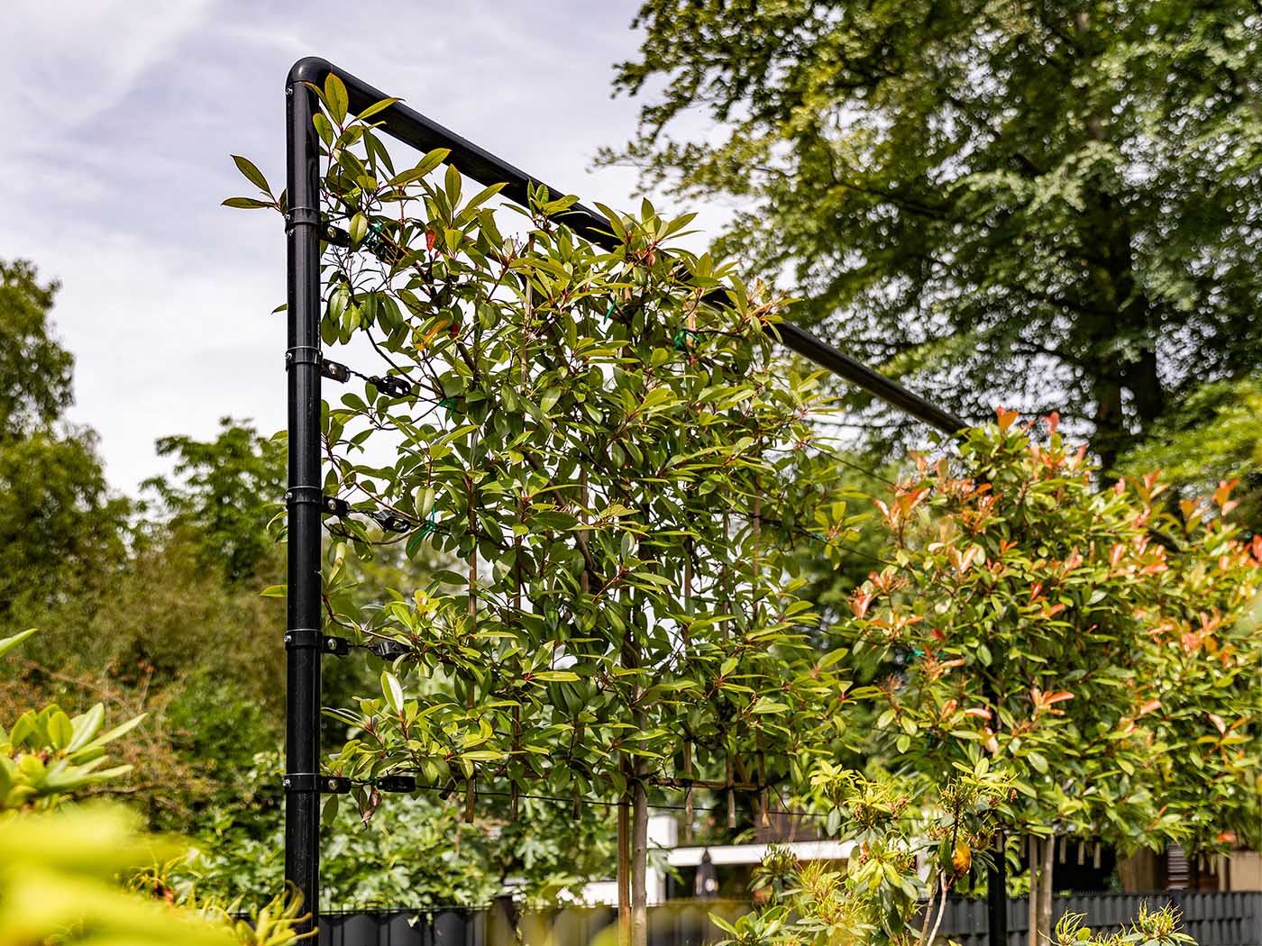 Stilvolle und funktionale Spaliere für deinen Garten