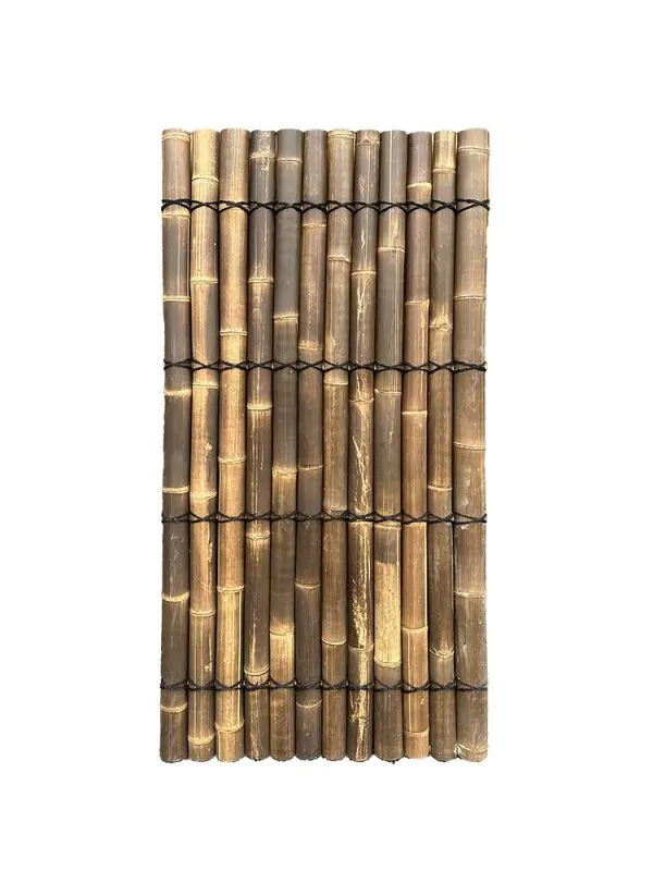 gelber bambus kaufen Wuchernder Bambus Goldrohrbambus kaufen | Phyllostachys aurea -  Goldrohrbambus