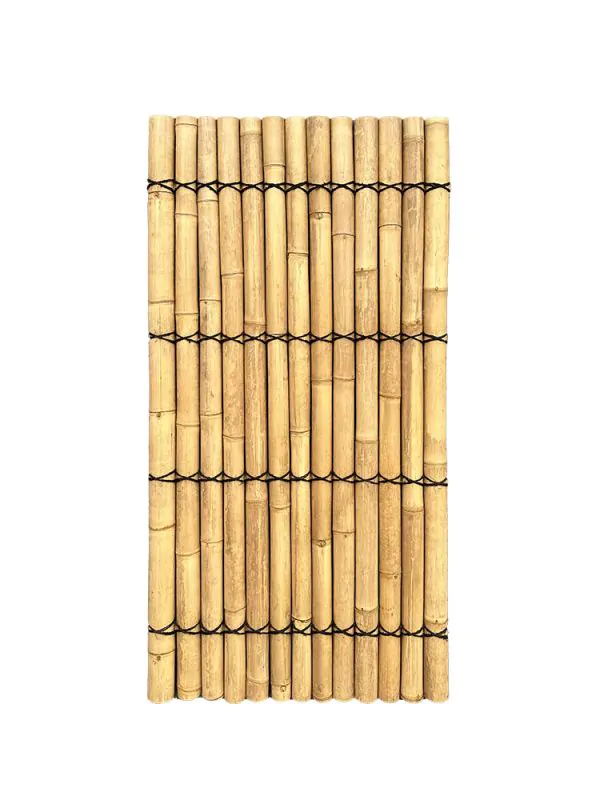 Bambuswand | Breite 100 cm | Hhe 220 cm | Hell