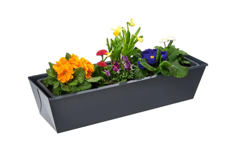 blumenkasten 75x20 Blumenkasten  Riga gro