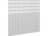Doppelstabmattenzaun Ø 8/6/8 | 2.5 Meter breit | Rebound | Maschenweite 50 x 66.7 mm