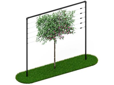 Spalier | 3 Meter Breit | Schwarz