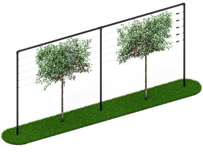 Spalier | 6 Meter Breit | Schwarz