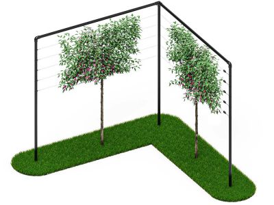 Spalier | 6 Meter Breit | 1 Ecke | Schwarz