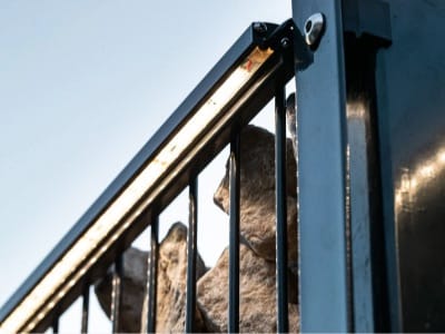 Schaffe Atmosphäre mit Beleuchtung