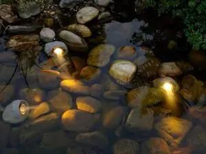 Teichbeleuchtung
